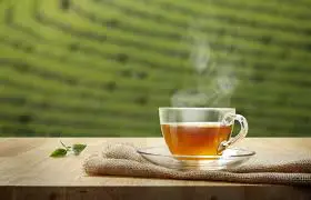 best organic teas