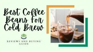 Best Coffee Beans For Cold Brew