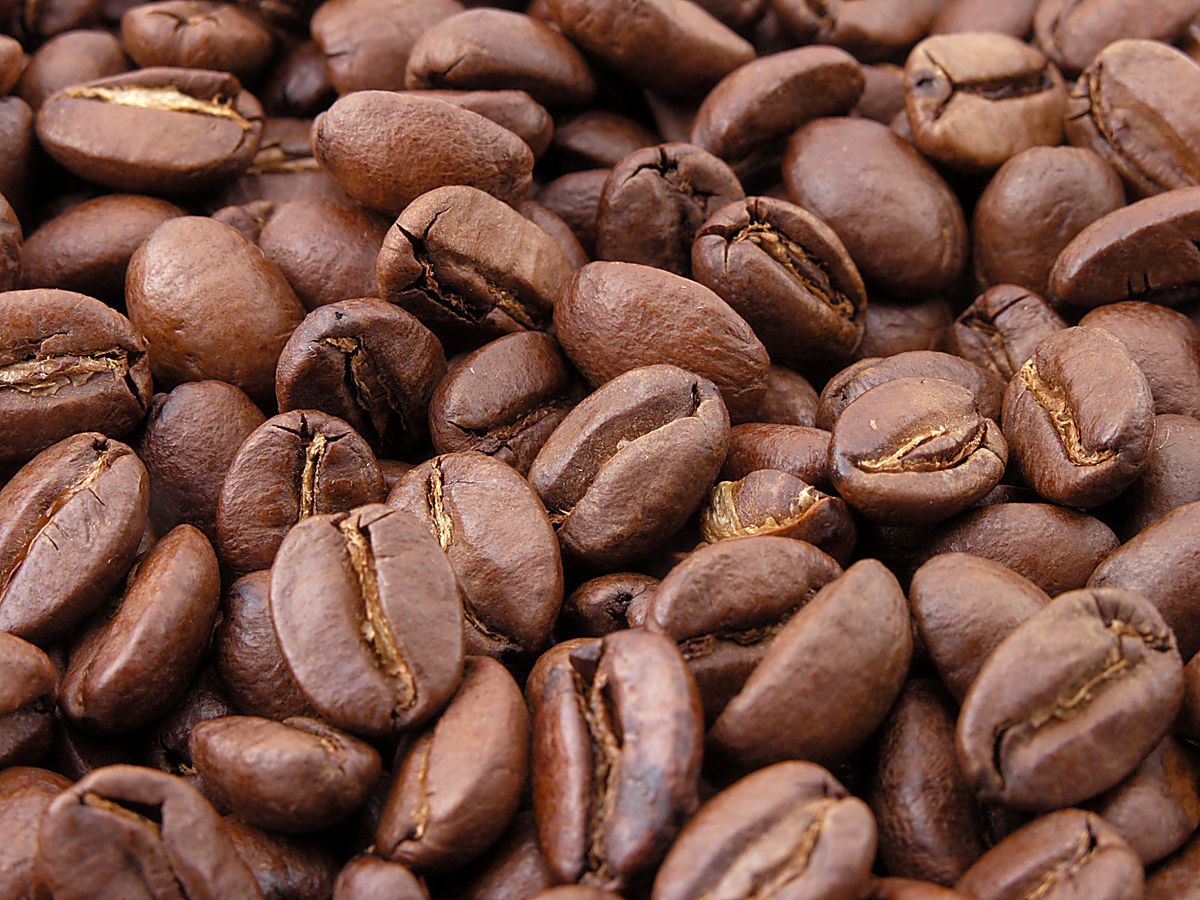 best coffee bean for cold brew