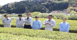 A day visiting the Japanese tea fields of Fujieda